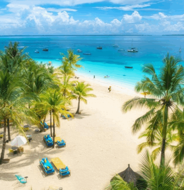 The Essential Zanzibar Discovery