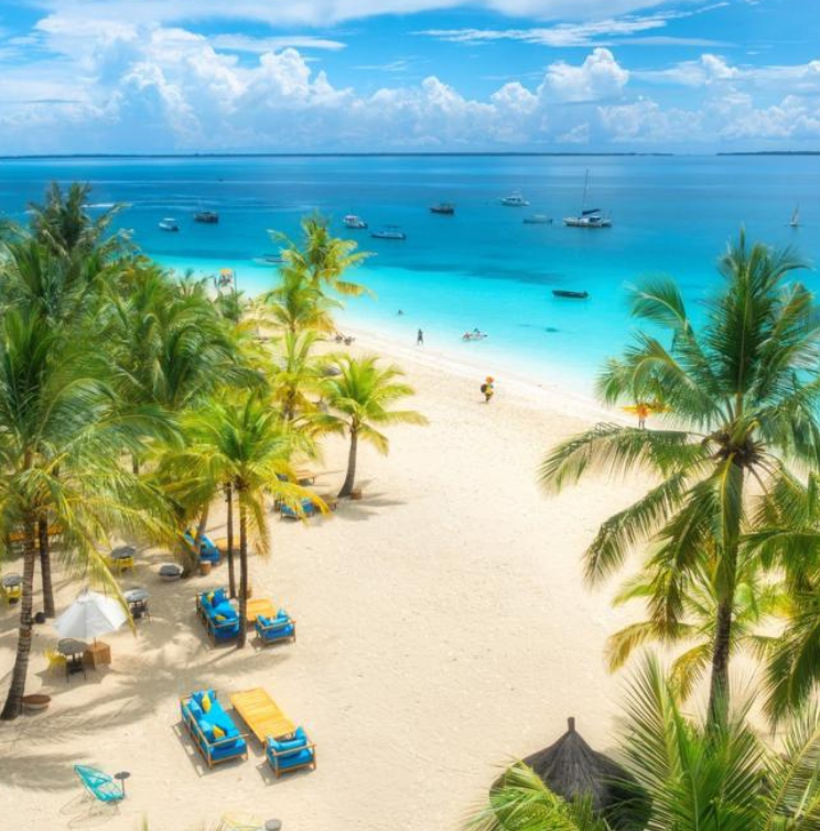 The Essential Zanzibar Discovery