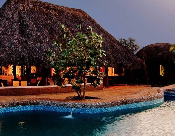 The Essential Amboseli Discovery