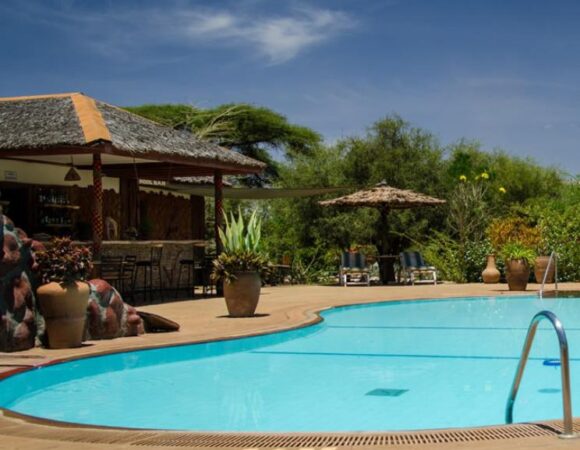 The Essential Maasai Mara Discovery | August - October