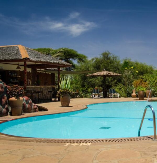 The Essential Maasai Mara Discovery | August - October