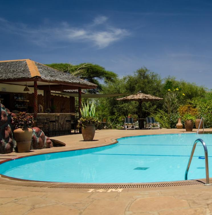 The Essential Maasai Mara Discovery | August - October
