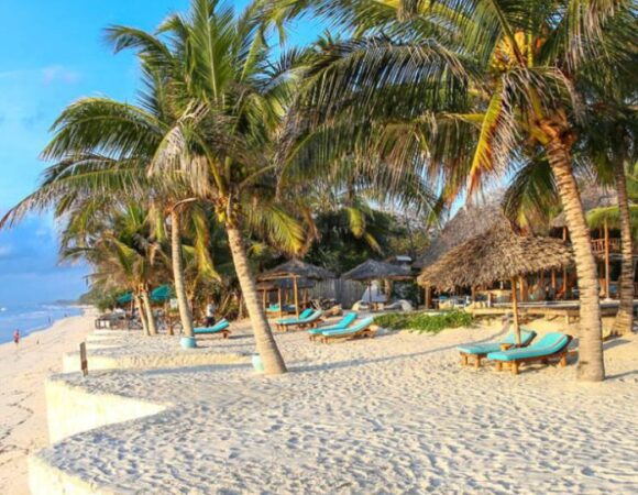 The Essential Diani Discovery