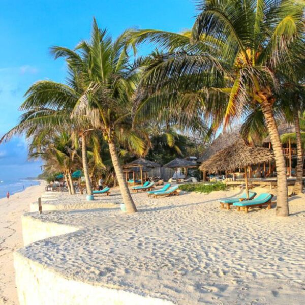 The Essential Diani Discovery