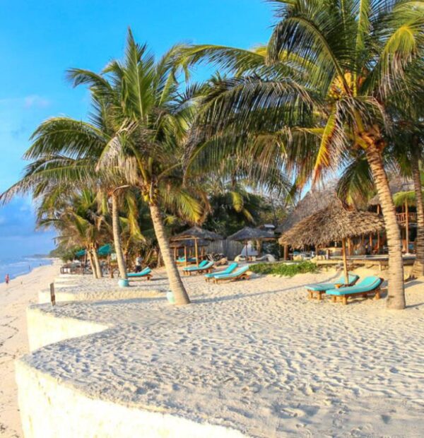 The Essential Diani Discovery