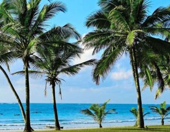 The Executive Diani Experience
