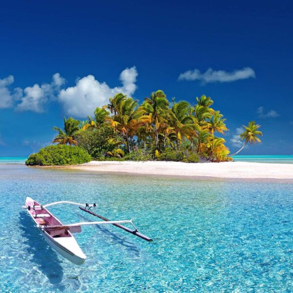 The Essential Mombasa Discovery